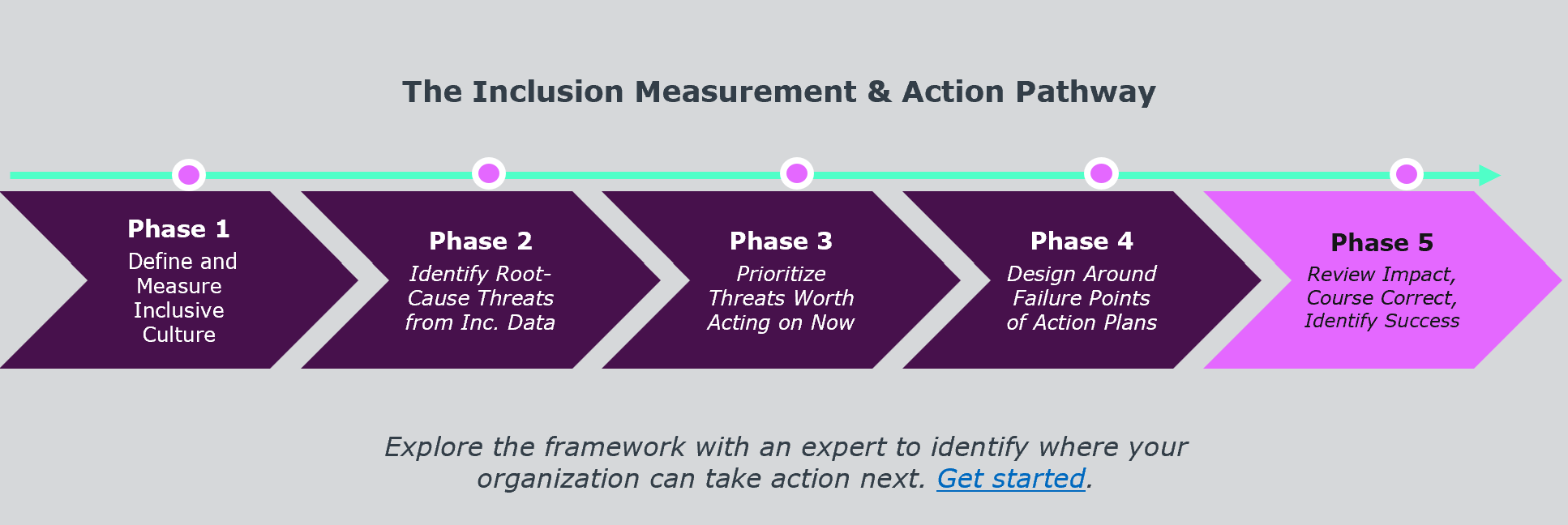 The Inclusion Measurement & Action Pathway 