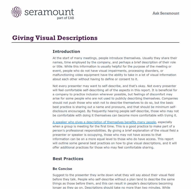 Giving Visual Descriptions: Making Meetings More Accessible