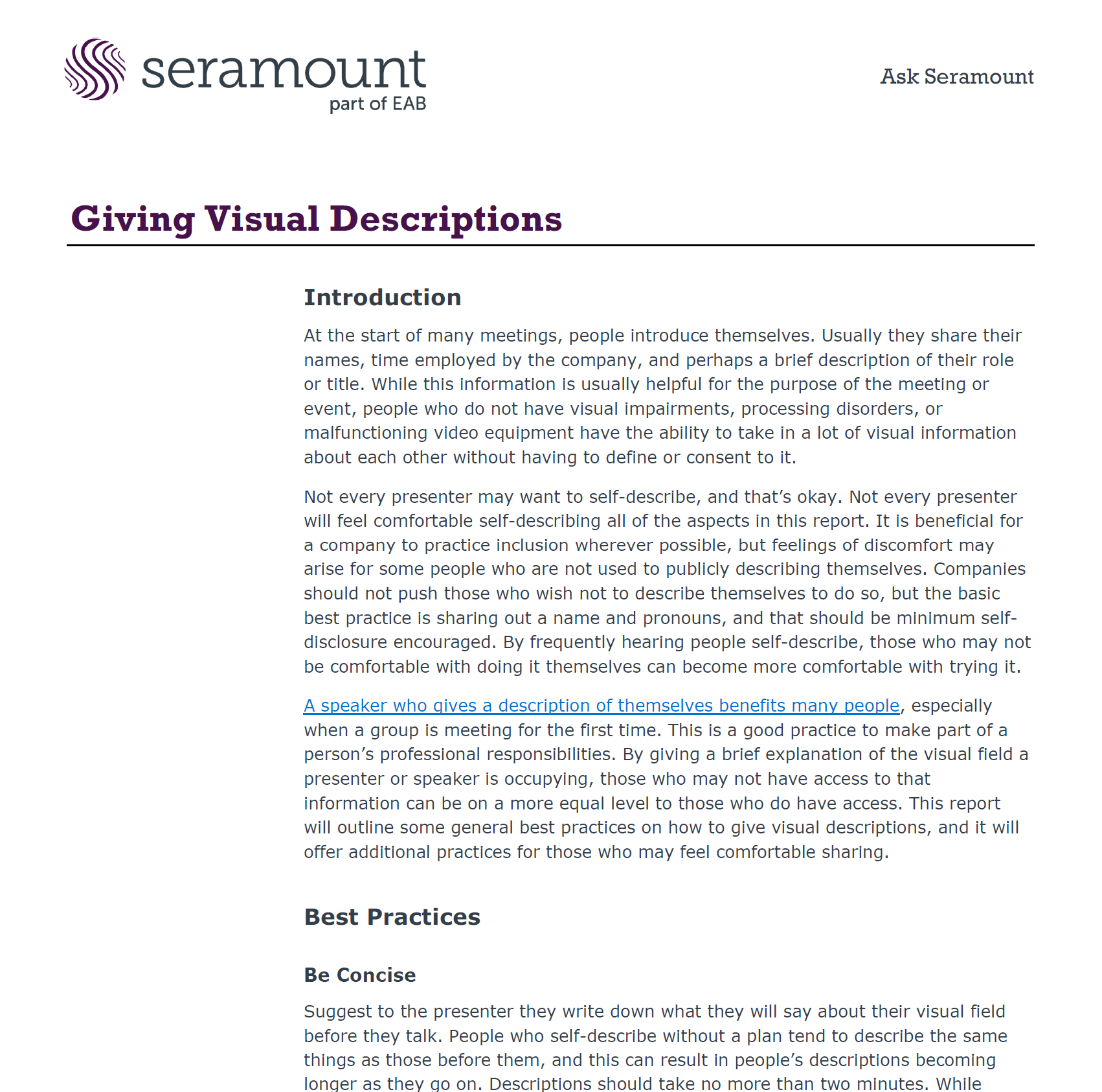 Giving Visual Descriptions: Making Meetings More Accessible